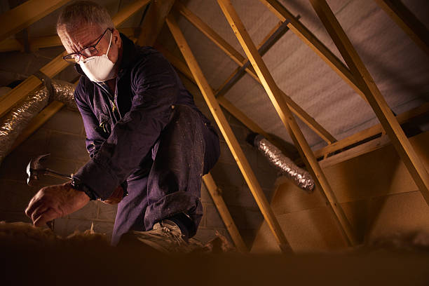 Best Insulation Installation Services in Nanticoke, PA